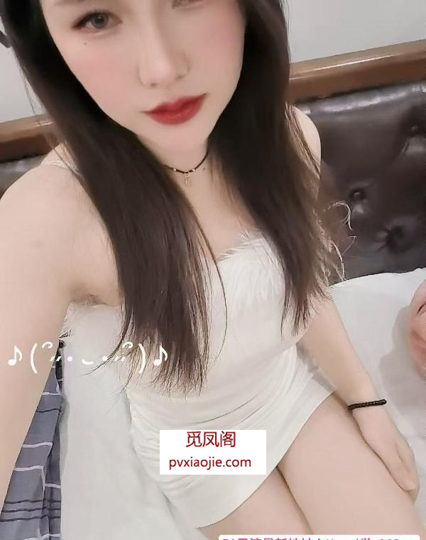 观澜长腿小野猫