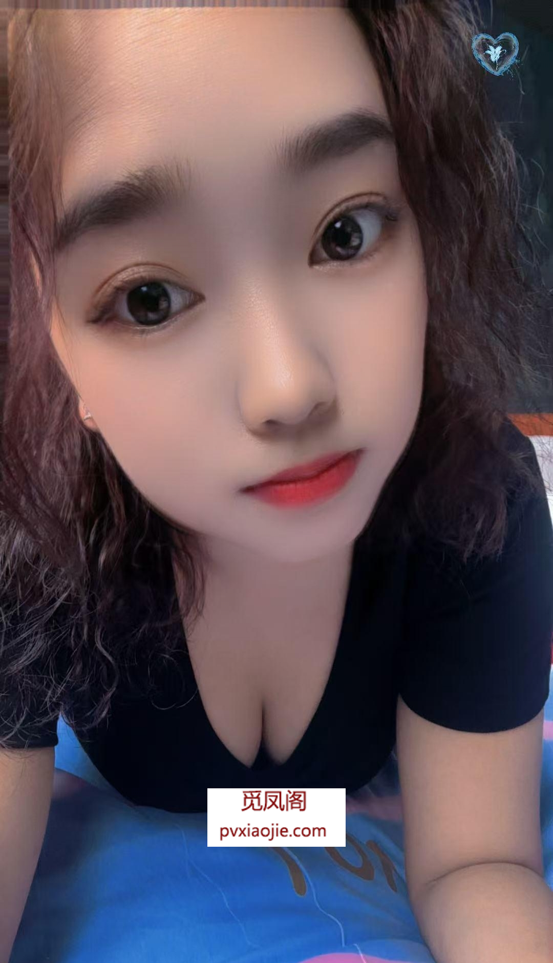 奉贤区不限次姎婷